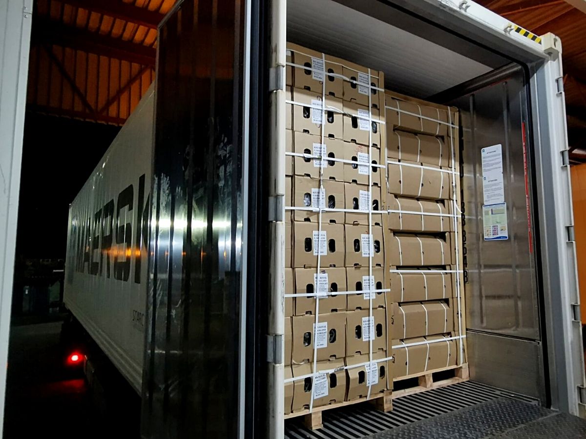 Sea Freight Operations