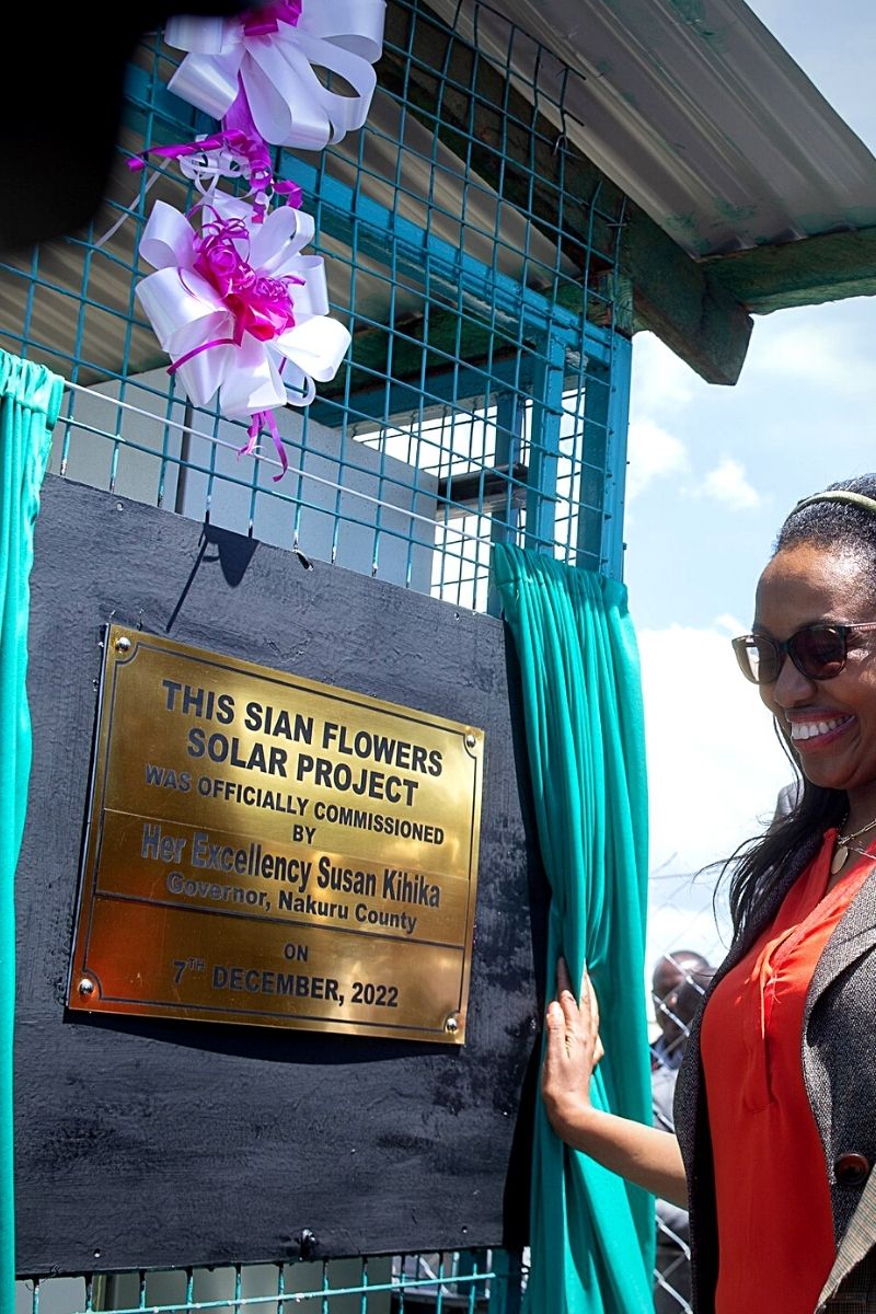 Sea Freight Operations